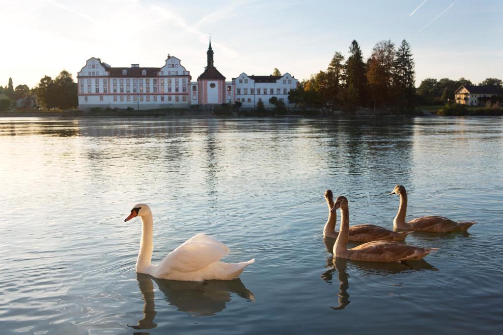 Gesundheitshotel Gugerbauer Schärding Exteriér fotografie
